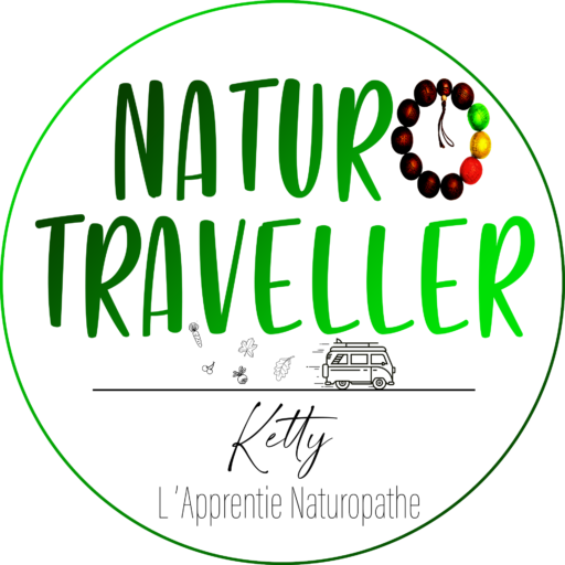 Logo naturoTraveller